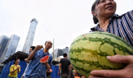 吃瓜爆料朝阳群众视频,揭秘吃瓜爆料背后的神秘力量